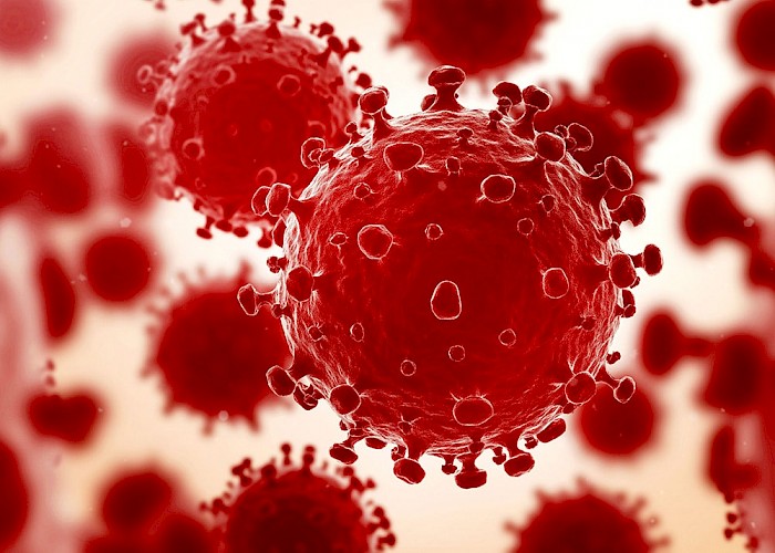 Coronavirus Statement
