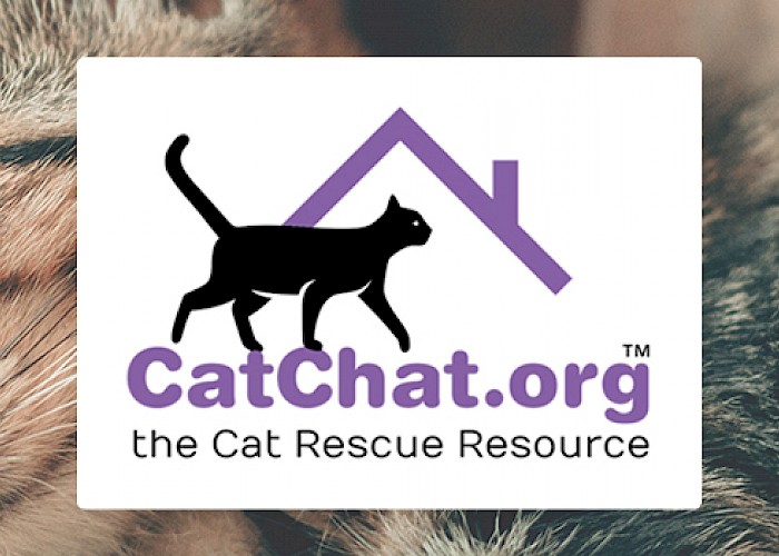 Cat Chat, the Cat Rescue Resource - A Unique Online Re-homing Charity for Cats