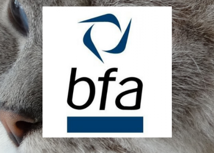 The Cat Butler is Accredited by The British Franchise Association