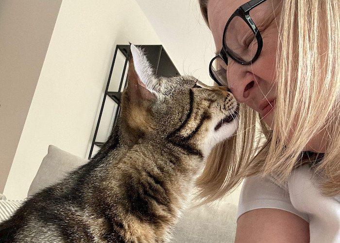 From Marketing to Moggies - The Cat Butler Awards a New Franchise in Surrey and Greater London