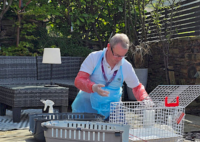 Celebrating Phil’s 1st Anniversary with The Cat Butler – Our Community Champion!