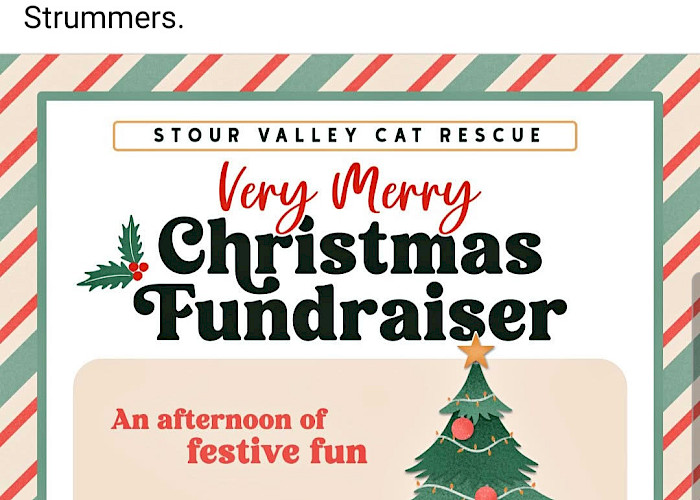 The Cat Butler Stourbridge Supports Stour Valley Cat Rescue with Festive Fundraising!