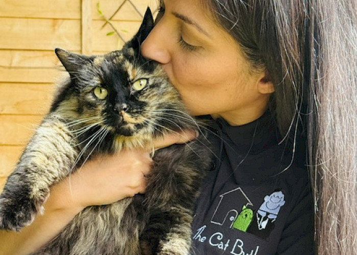 Searching for a Professional Cat Sitter in and Around Welwyn Hatfield?