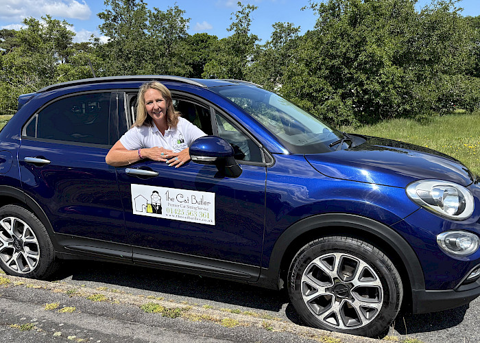 From Boardrooms to Belly Rubs: The Cat Butler Expands to Dorset and Hampshire