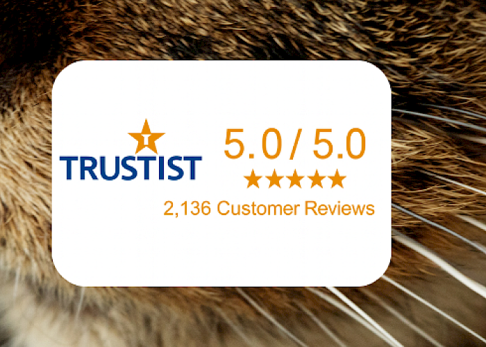 The Cat Butler Celebrates over 2,000 Five-Star Reviews for Our Cat Sitting Service