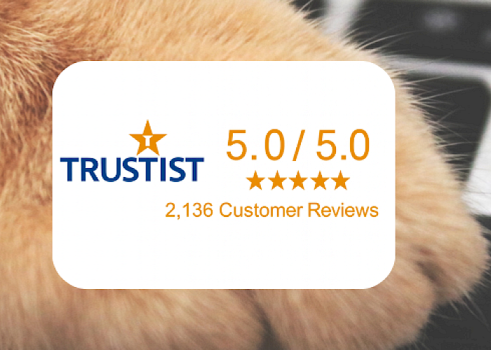Over 2,000 Five-Star Reviews for The Cat Butler!