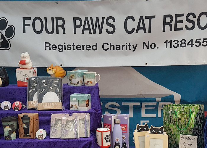 The Cat Butler Oxford & Thame Team Up for Festive Charity Fun