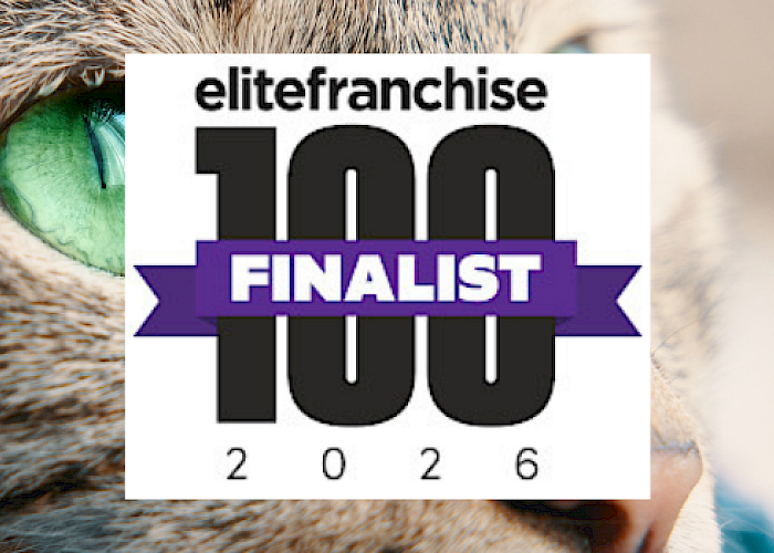 The Cat Butler® Named in the UK’s Elite 100 Franchises for the Second Year Running