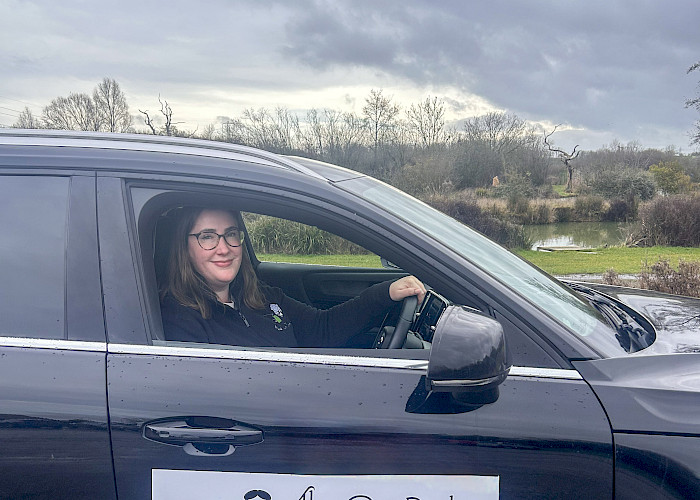 From Cause to Paws: The Cat Butler Expands to Hornchurch & Upminster