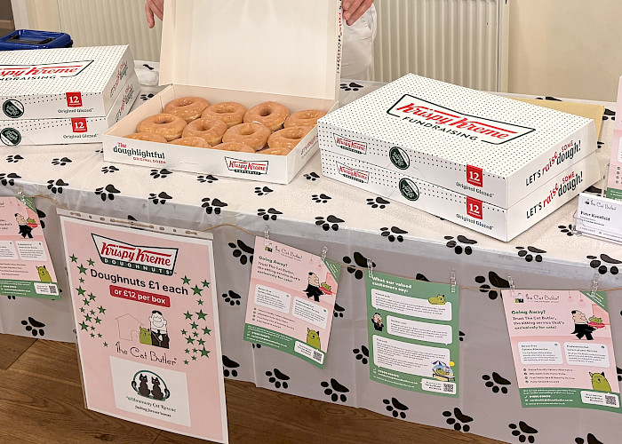 Community Connections: The Cat Butler Northwich Supports Willowsway Cat Rescue