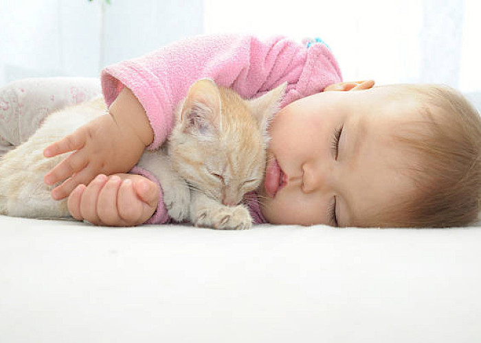 How to Introduce Your Cat to a New Baby: A Step-by-Step Guide
